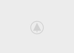 wood-gallery-placeholder