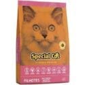 Special Cat Gatos Filhotes 10Kg