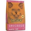 Special Cat Gatos Filhotes 20Kg