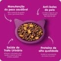 Whiskas Gatos Adultos Castrados Peixe 1Kg