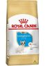 Royal Canin Bulldog Francês Filhote 1Kg