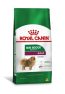 Royal Canin Cães Adultos Mini Indoor 1Kg