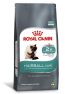 Royal Canin Gatos Adultos Hairball Care 1,5Kg