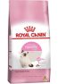 Royal Canin Gatos Filhotes 400G
