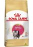 Royal Canin Gatos Filhotes Persa 400G
