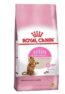 Royal Canin Gatos Filhotes Sterilised 1,5Kg