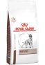 Royal Canin Veterinary Diet Cães Adultos Hepatic 2Kg