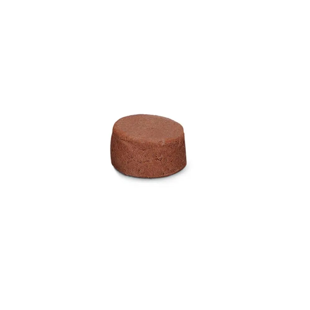 Bravecto Cães Oral 10 A 20Kg