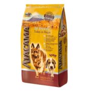 Atacama Cães Adultos Todos Os Tamanhos 20Kg