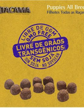 Atacama Cães Filhotes Todos Os Tamanhos 14Kg