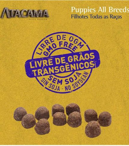 Atacama Cães Filhotes Todos Os Tamanhos 14Kg