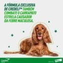 Credeli Cães 1,3 A 2,5Kg - Caixa 3 Unidades