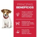 Hills Cães Filhotes Pedaços Pequenos 6Kg