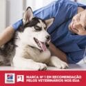 Hills Cães Filhotes Pedaços Pequenos 6Kg