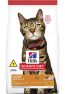 Hills Gatos Adultos Light 6Kg