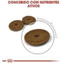 Royal Canin Gatos Adultos Digestive Care 1,5Kg